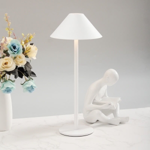White LED Lamp